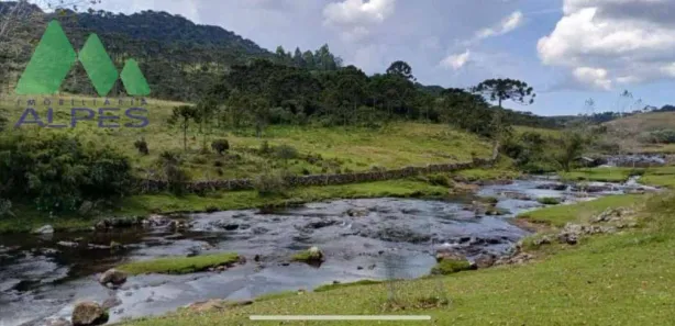Fazenda / Sítio / Chácara com 7 Quartos à venda, 300m² no Campo Largo da Roseira, São José dos Pinhais