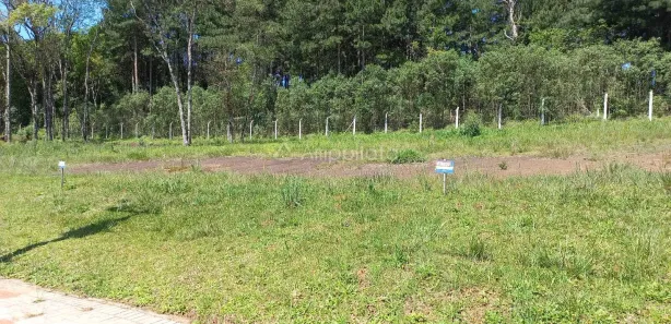 Terreno / Lote / Condomínio à venda, 384m² no Araçatuba, Campina Grande do Sul