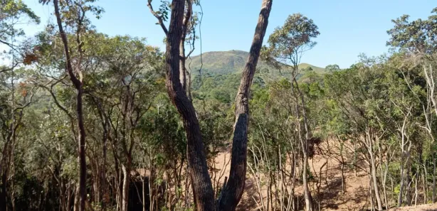 Terreno / Lote / Condomínio à venda, 1000m² no Saboó, São Roque