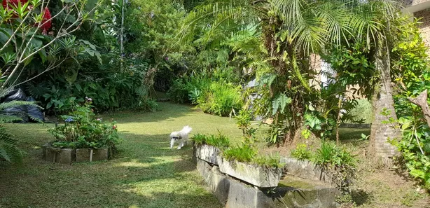 Fazenda / Sítio / Chácara com 2 Quartos à venda, 109m² no Quarta Divisão, Ribeirão Pires