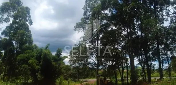 Fazenda / Sítio / Chácara com 3 Quartos à venda, 380m² no , Guaraniaçu