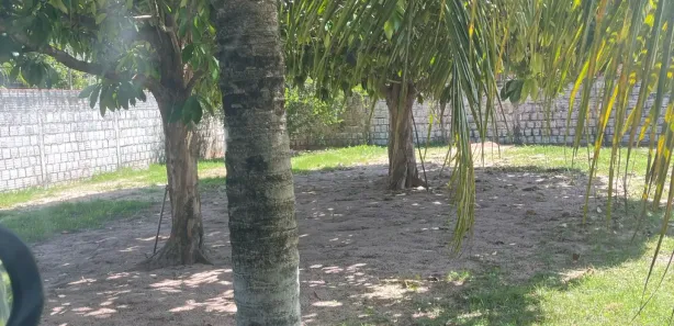 Fazenda / Sítio / Chácara com 4 Quartos à venda, 650m² no , Pindoretama