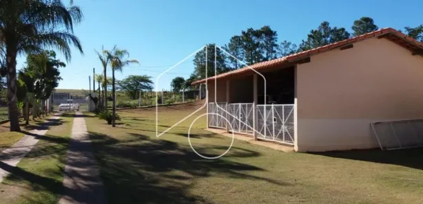 Fazenda / Sítio / Chácara com 3 Quartos para alugar, 5000m² no Sítios de Recreio Morada do Sol, Marília