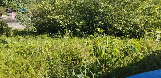 Terreno / Lote / Condomínio à venda no Boiçucanga, São Sebastião