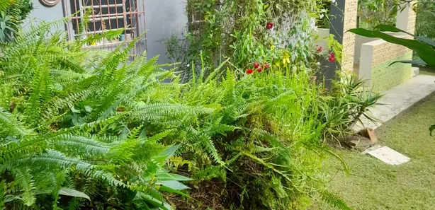 Fazenda / Sítio / Chácara com 2 Quartos à venda, 109m² no Quarta Divisão, Ribeirão Pires