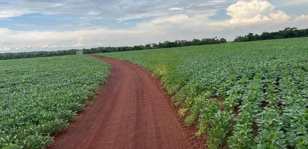 Fazenda / Sítio / Chácara com 7 Quartos à venda, 503m² no , Santa Maria do Tocantins