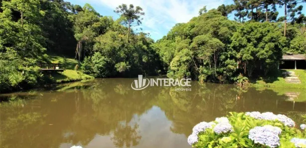 Fazenda / Sítio / Chácara com 4 Quartos à venda, 450m² no Quatro Barras, Quatro Barras