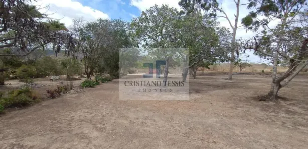 Fazenda / Sítio / Chácara com 6 Quartos à venda, 296000m² no Centro, Gravatá