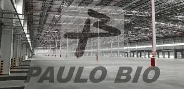 Galpão / Depósito / Armazém para alugar, 3901m² no Virgem Santa, Macaé