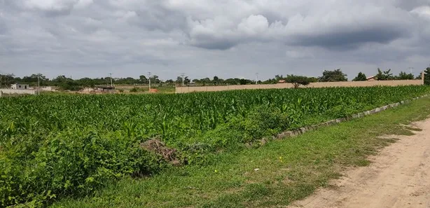 Terreno / Lote / Condomínio à venda, 1410m² no Maria Quitéria, Feira de Santana