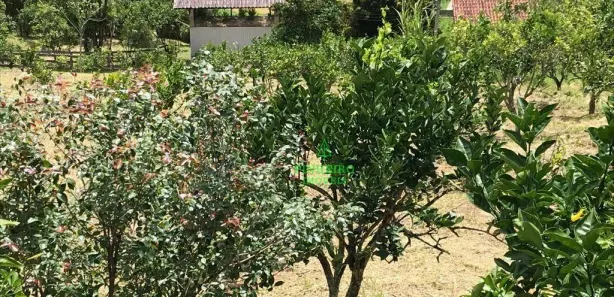Fazenda / Sítio / Chácara com 4 Quartos à venda, 500m² no Serra do Sambê, Rio Bonito