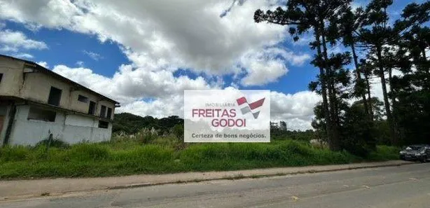 Terreno / Lote / Condomínio à venda, 11714m² no Vila Pinheiros, Itaperuçu