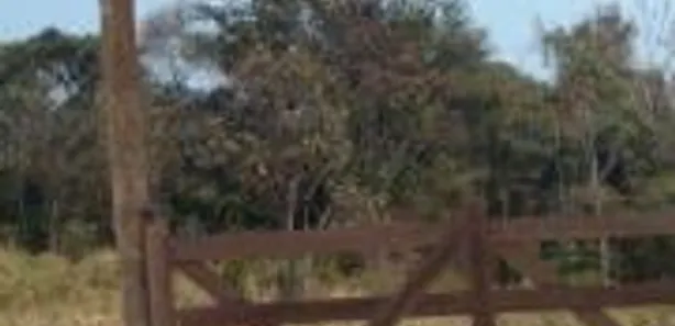 Terreno / Lote / Condomínio à venda, 20000m² no , Caeté