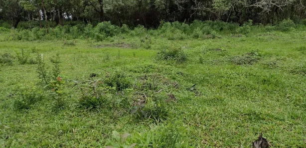Terreno / Lote / Condomínio à venda, 20000m² no , Fortuna de Minas