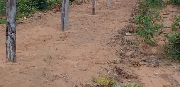 Fazenda / Sítio / Chácara à venda, 245m² no , Ponte Alta do Tocantins