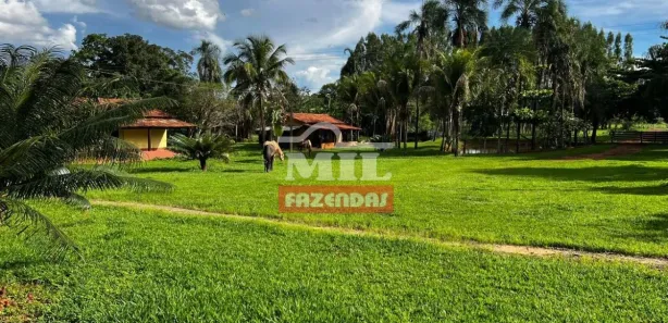 Fazenda / Sítio / Chácara à venda, 700000000m² no , Padre Bernardo