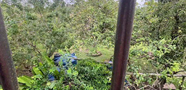 Fazenda / Sítio / Chácara com 3 Quartos à venda, 200m² no Ajuda de Cima, Macaé