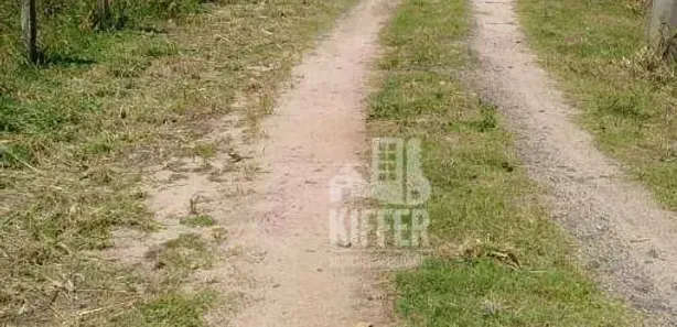 Fazenda / Sítio / Chácara com 4 Quartos à venda, 300m² no Rosa Machado, Piraí