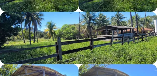 Fazenda / Sítio / Chácara à venda, 7260000m² no , Ponte Alta do Bom Jesus