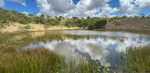 Fazenda / Sítio / Chácara com 3 Quartos à venda, 120000m² no , Sairé