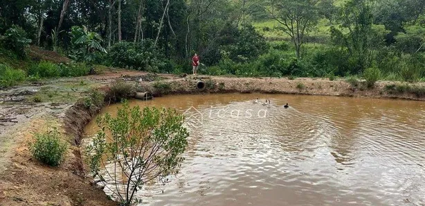 Fazenda / Sítio / Chácara com 4 Quartos à venda, 600m² no , Igaratá
