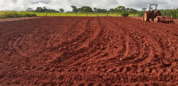 Fazenda / Sítio / Chácara à venda, 2000m² no Área Rural, Goianira
