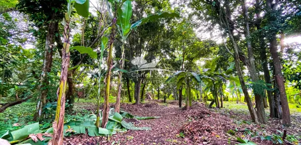 Terreno / Lote / Condomínio à venda, 1000m² no Aldeia dos Camarás, Camaragibe