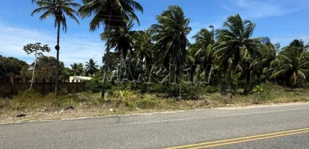 Terreno / Lote Comercial à venda, 54000m² no Olhos d'Água, Barra dos Coqueiros