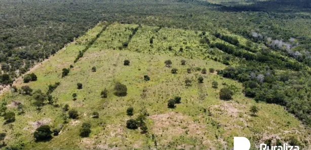 Fazenda / Sítio / Chácara à venda, 290m² no , Pium