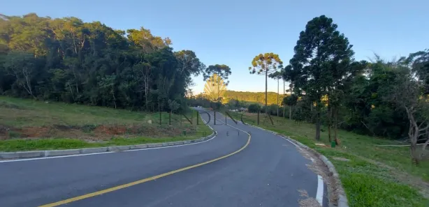 Terreno / Lote / Condomínio à venda, 1060m² no Rondinha, Campo Largo