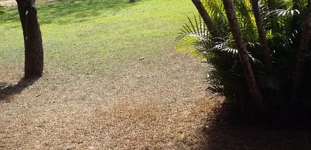 Fazenda / Sítio / Chácara com 3 Quartos à venda, 150m² no Chácara Primavera, Sumaré