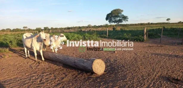 Fazenda / Sítio / Chácara à venda, 764m² no Centro, Cristalândia
