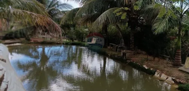 Loja / Salão / Ponto Comercial com 2 Quartos à venda, 5000m² no Vila Bretas, Governador Valadares