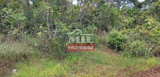 Fazenda / Sítio / Chácara à venda, 2444m² no , Santa Maria do Tocantins