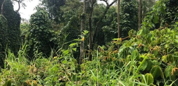 Terreno / Lote / Condomínio à venda, 1056m² no Arujázinho I, II e III, Arujá