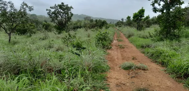 Fazenda / Sítio / Chácara com 2 Quartos à venda, 280000m² no , Padre Bernardo
