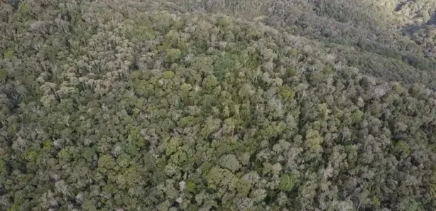 Fazenda / Sítio / Chácara à venda, 290400m² no , Antonina