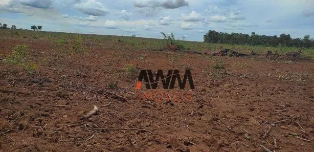Fazenda / Sítio / Chácara à venda, 24829200m² no , Pedro Afonso