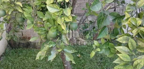 Casa com 3 Quartos à venda, 480m² no Jardim Eugenia Maria, Campina Grande do Sul