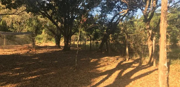 Fazenda / Sítio / Chácara com 3 Quartos à venda, 5400m² no Cidade Jardim, Esmeraldas