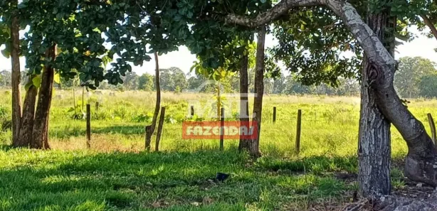 Fazenda / Sítio / Chácara à venda, 20000m² no , Formoso do Araguaia