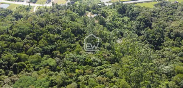 Fazenda / Sítio / Chácara com 1 Quarto à venda, 20100m² no Centro, Massaranduba