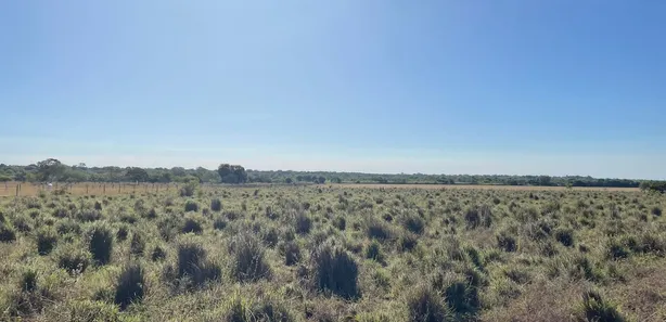 Fazenda / Sítio / Chácara com 5 Quartos à venda, 1326m² no , Formoso do Araguaia