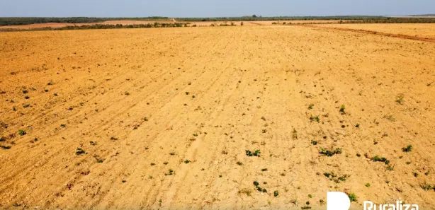 Fazenda / Sítio / Chácara à venda, 1703m² no , Ponte Alta do Tocantins
