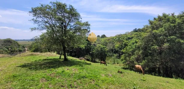 Fazenda / Sítio / Chácara com 1 Quarto à venda, 29519m² no , Tijucas do Sul
