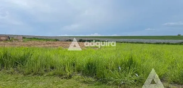 Fazenda / Sítio / Chácara com 1 Quarto à venda, 1897m² no Taquari dos Polacos, Ponta Grossa
