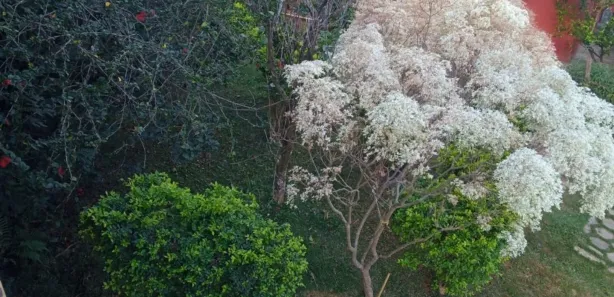 Fazenda / Sítio / Chácara com 3 Quartos à venda, 160m² no Vale das Acácias, Ribeirão das Neves