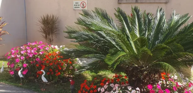 Apartamento com 2 Quartos para alugar, 50m² no Barro Branco, Cotia