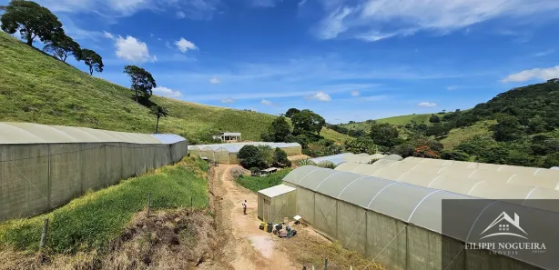 Fazenda / Sítio / Chácara com 4 Quartos à venda, 7395m² no Avelar, Paty do Alferes