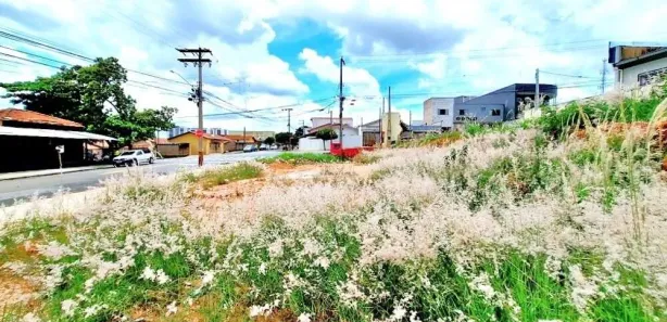 Terreno / Lote / Condomínio para alugar, 700m² no Jardim Nova Europa, Limeira